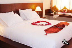 Sweet Suite Room